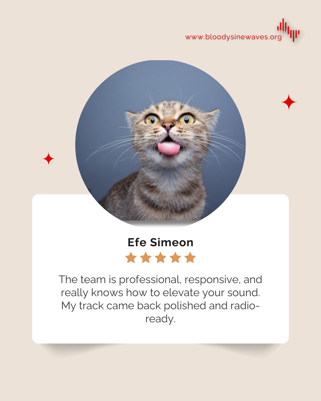 Social media template portfolio item
